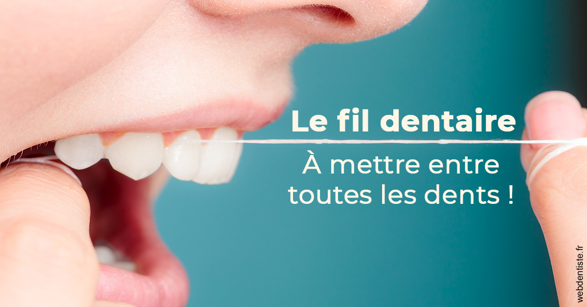 https://dr-gregori-laetitia.chirurgiens-dentistes.fr/Le fil dentaire 2
