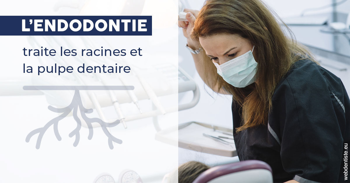 https://dr-gregori-laetitia.chirurgiens-dentistes.fr/L'endodontie 1