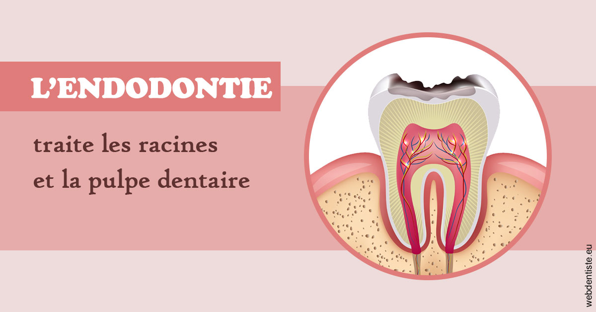 https://dr-gregori-laetitia.chirurgiens-dentistes.fr/L'endodontie 2