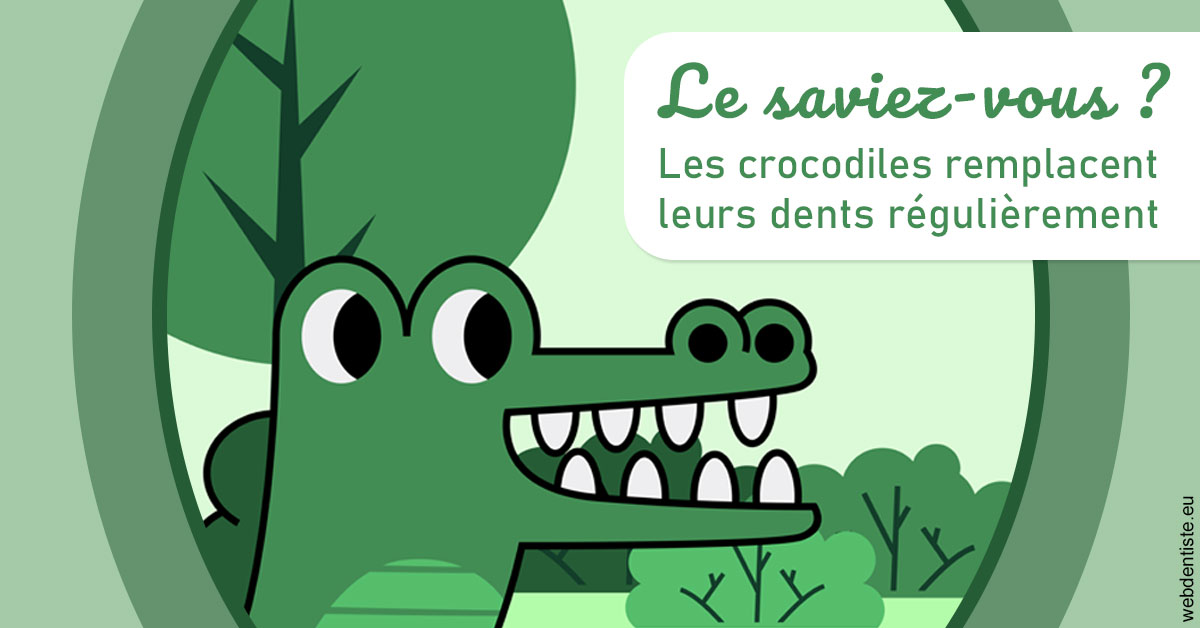 https://dr-gregori-laetitia.chirurgiens-dentistes.fr/Crocodiles 2