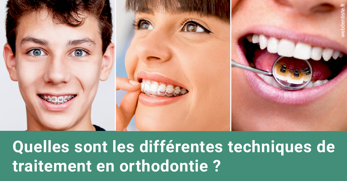 https://dr-gregori-laetitia.chirurgiens-dentistes.fr/Les différentes techniques de traitement 2